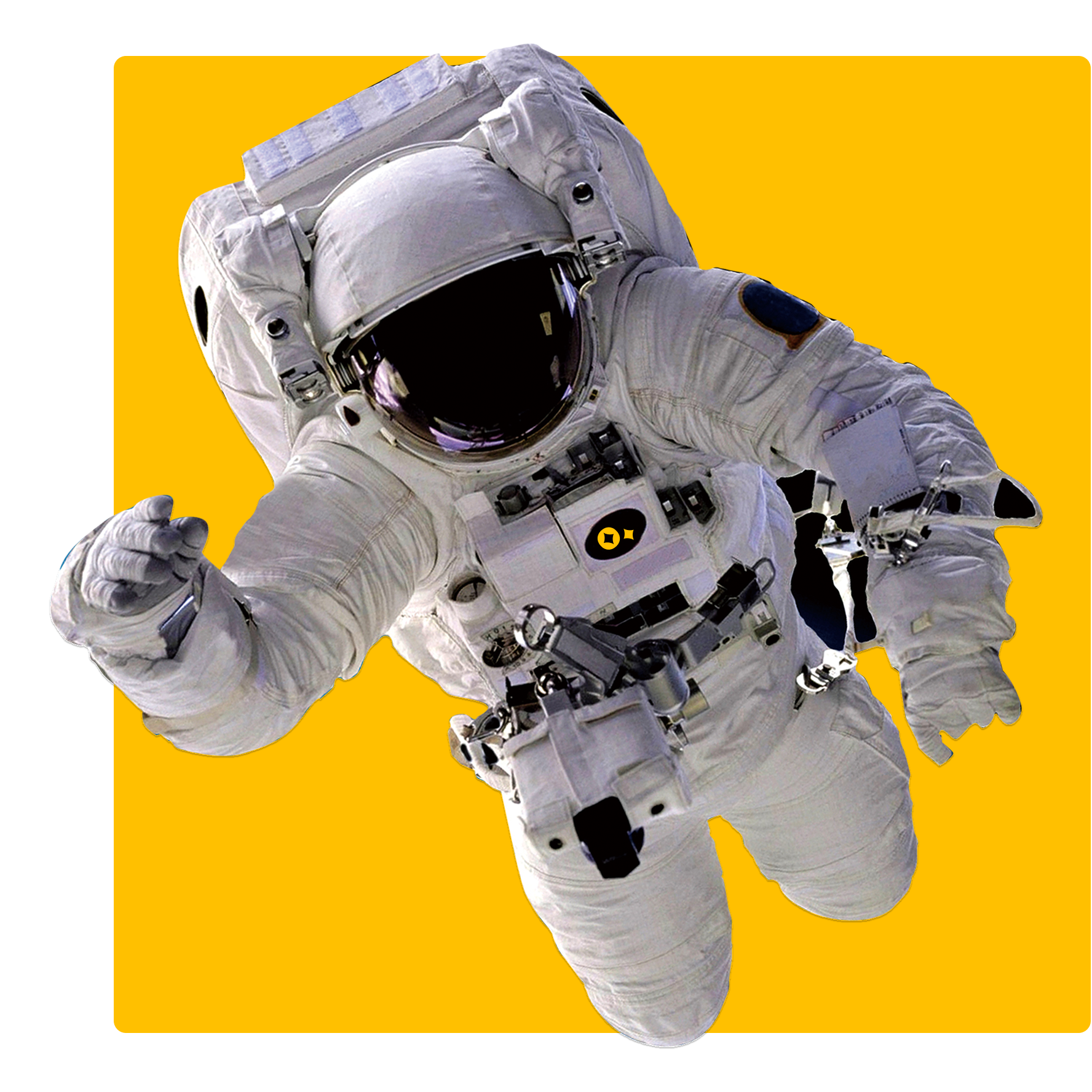 What Zombies Can Teach You About aloha king elvis high volatility